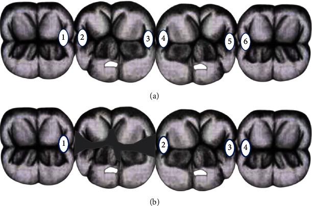 https://cdn.ncbi.nlm.nih.gov/pmc/blobs/782c/8384543/efdcd46b7232/SCANNING2021-2679012.001.jpg