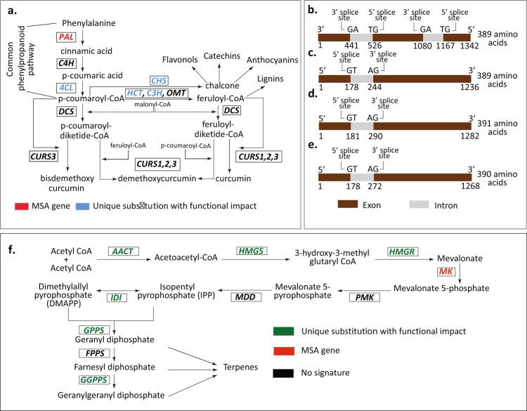 https://cdn.ncbi.nlm.nih.gov/pmc/blobs/782c/8521574/8cd93fb64280/42003_2021_2720_Fig3_HTML.jpg