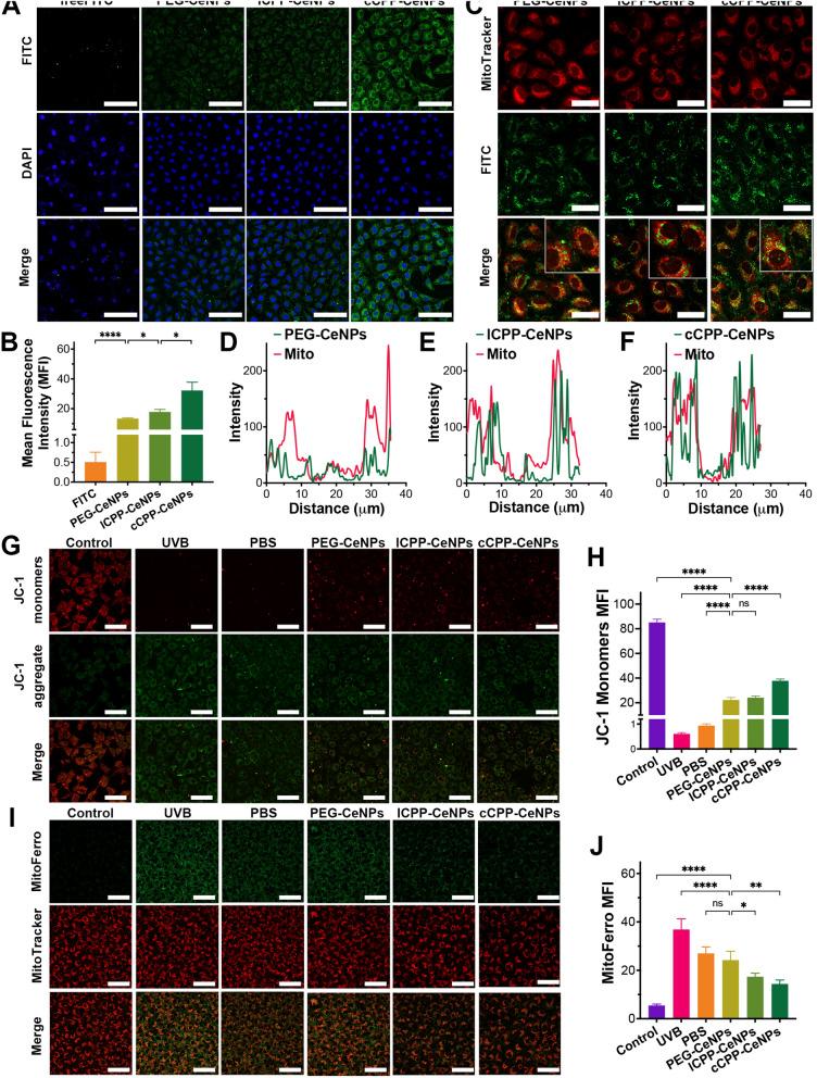 https://cdn.ncbi.nlm.nih.gov/pmc/blobs/782d/12060572/0839d3dcdcd5/12951_2025_3402_Fig5_HTML.jpg