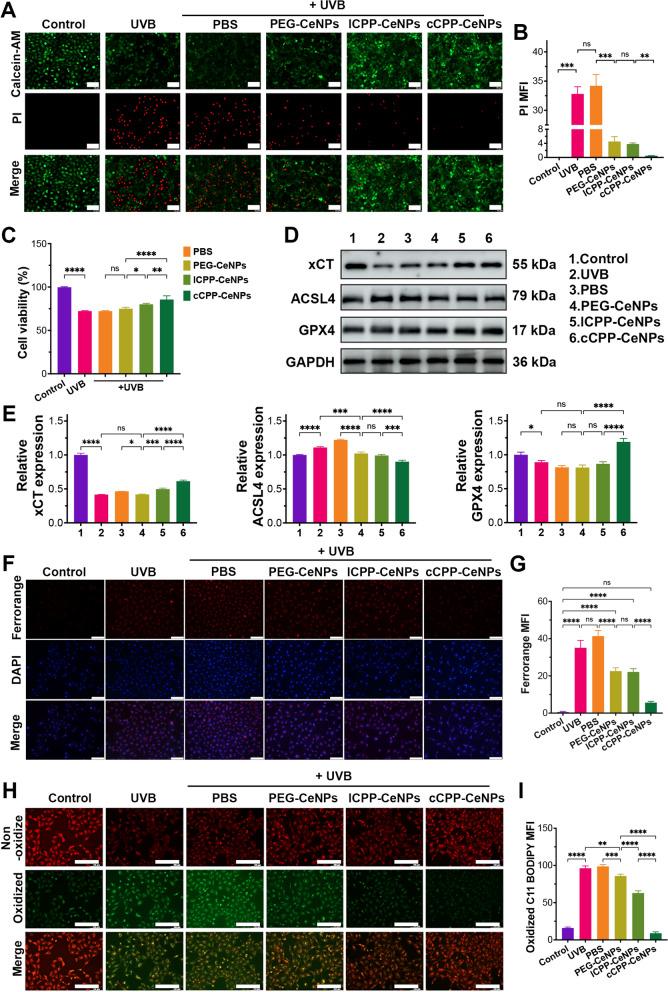 https://cdn.ncbi.nlm.nih.gov/pmc/blobs/782d/12060572/2a43bf030a30/12951_2025_3402_Fig6_HTML.jpg