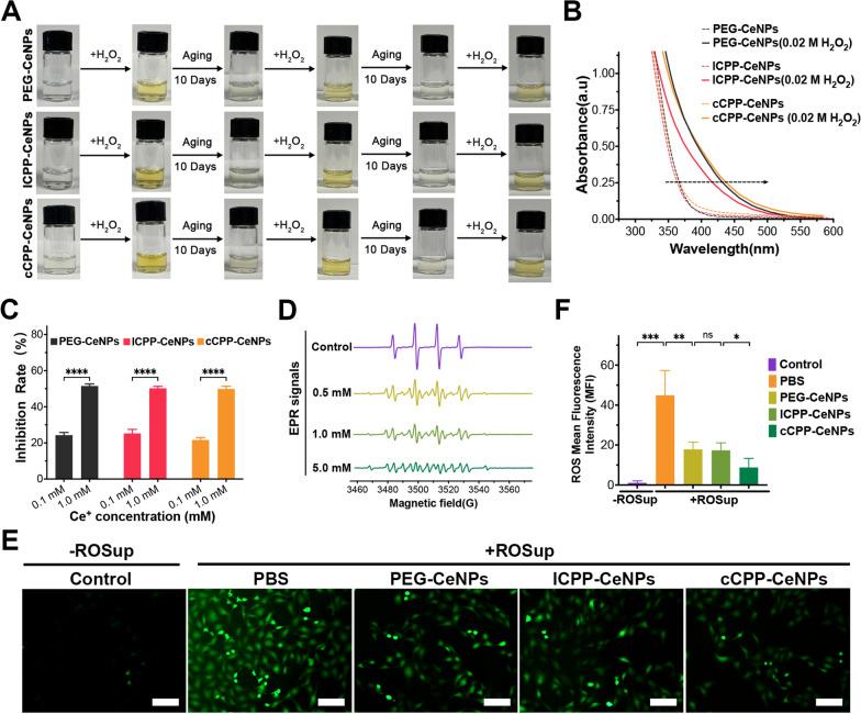 https://cdn.ncbi.nlm.nih.gov/pmc/blobs/782d/12060572/90a9439162a3/12951_2025_3402_Fig3_HTML.jpg