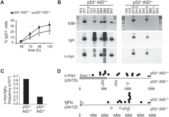 https://cdn.ncbi.nlm.nih.gov/pmc/blobs/782d/2592691/1f552817658d/pone.0003927.g004.jpg