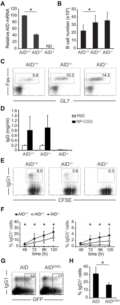 https://cdn.ncbi.nlm.nih.gov/pmc/blobs/782d/2592691/e8eb0dab7681/pone.0003927.g001.jpg