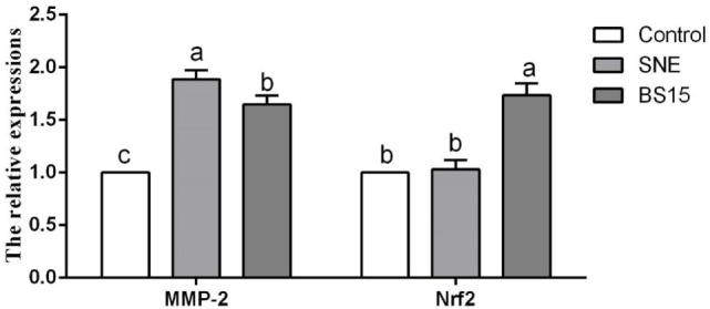 https://cdn.ncbi.nlm.nih.gov/pmc/blobs/782d/5701917/d448eda5c11b/fimmu-08-01592-g011.jpg