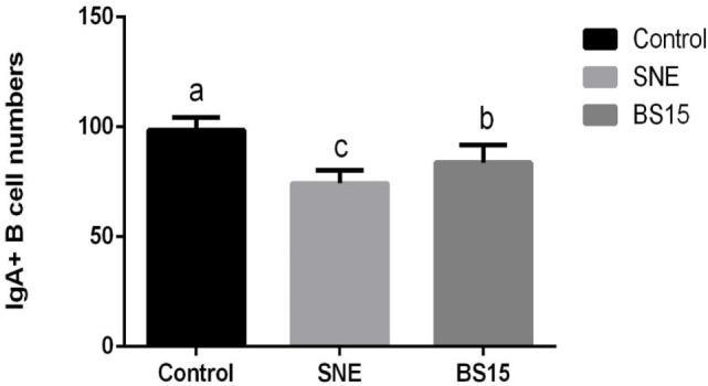 https://cdn.ncbi.nlm.nih.gov/pmc/blobs/782d/5701917/d874edfab55a/fimmu-08-01592-g005.jpg