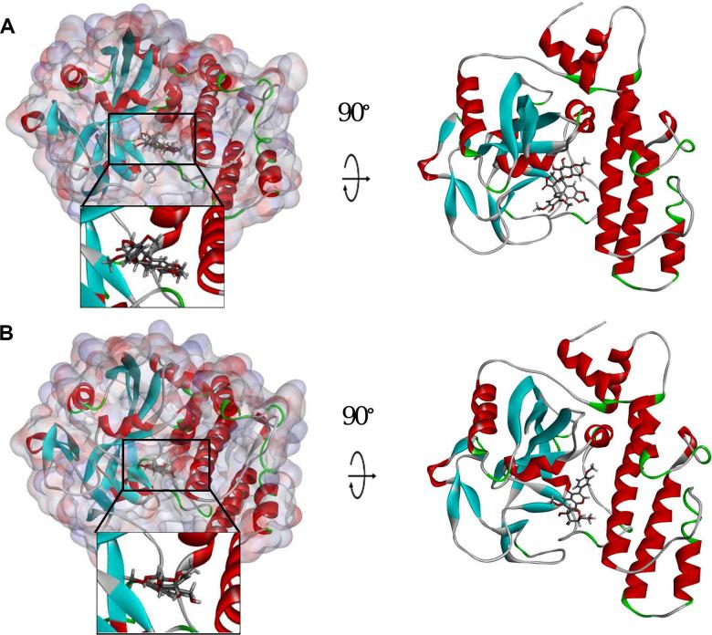 https://cdn.ncbi.nlm.nih.gov/pmc/blobs/782d/7880371/c5b9ff4e9556/aging-13-103986-g003.jpg