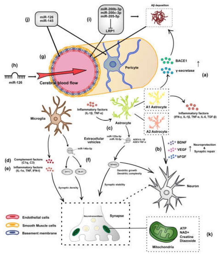 https://cdn.ncbi.nlm.nih.gov/pmc/blobs/782f/9599315/a2626d0b252c/biomolecules-12-01505-g001.jpg