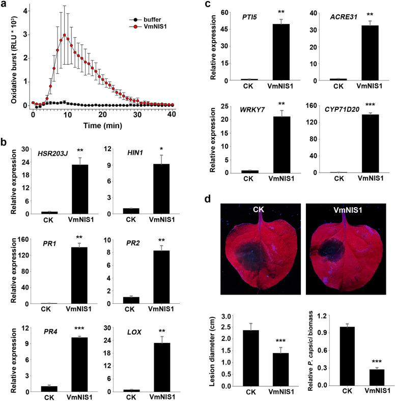 https://cdn.ncbi.nlm.nih.gov/pmc/blobs/7830/10442039/e98365860653/44154_2021_31_Fig3_HTML.jpg