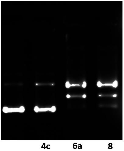 https://cdn.ncbi.nlm.nih.gov/pmc/blobs/7830/9052211/921584f8a1b3/c9ra09783j-f4.jpg