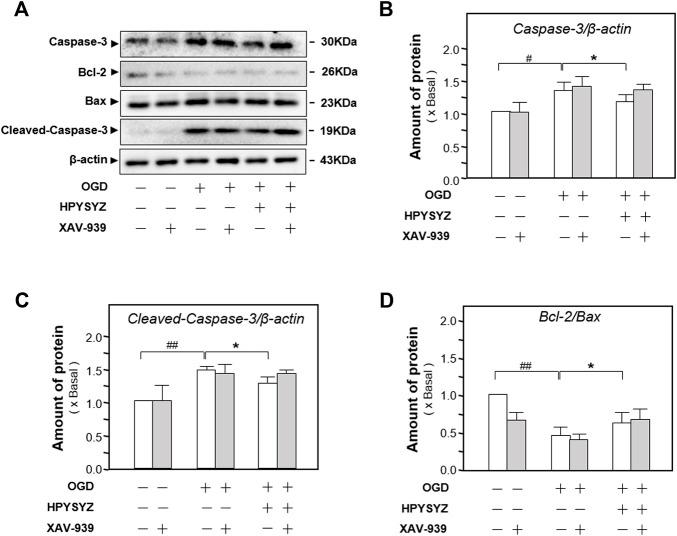 https://cdn.ncbi.nlm.nih.gov/pmc/blobs/7830/9240707/100d996e4f6d/fphar-13-867477-g012.jpg