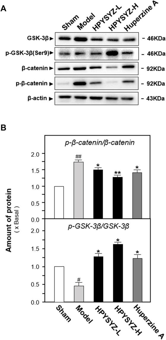 https://cdn.ncbi.nlm.nih.gov/pmc/blobs/7830/9240707/dde67f601472/fphar-13-867477-g005.jpg