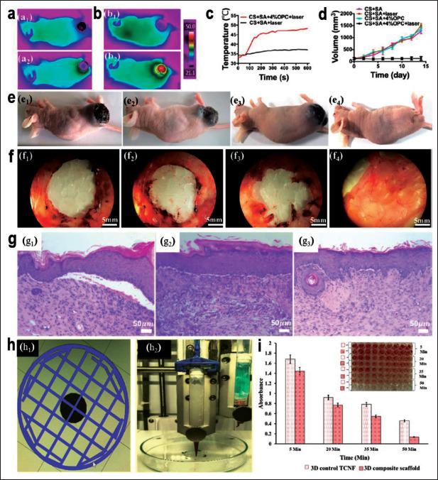 https://cdn.ncbi.nlm.nih.gov/pmc/blobs/7831/10339425/3a8a50db1020/IJB-9-5-757-g007.jpg