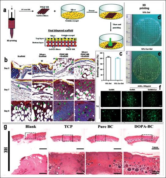 https://cdn.ncbi.nlm.nih.gov/pmc/blobs/7831/10339425/fdfb030eac68/IJB-9-5-757-g006.jpg