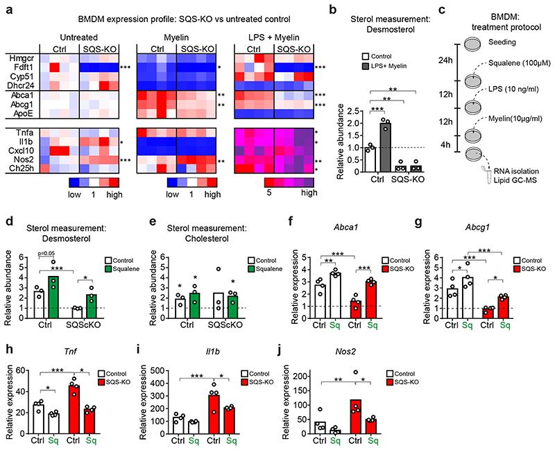 https://cdn.ncbi.nlm.nih.gov/pmc/blobs/7831/7116742/516ca5f2d045/EMS114908-f005.jpg