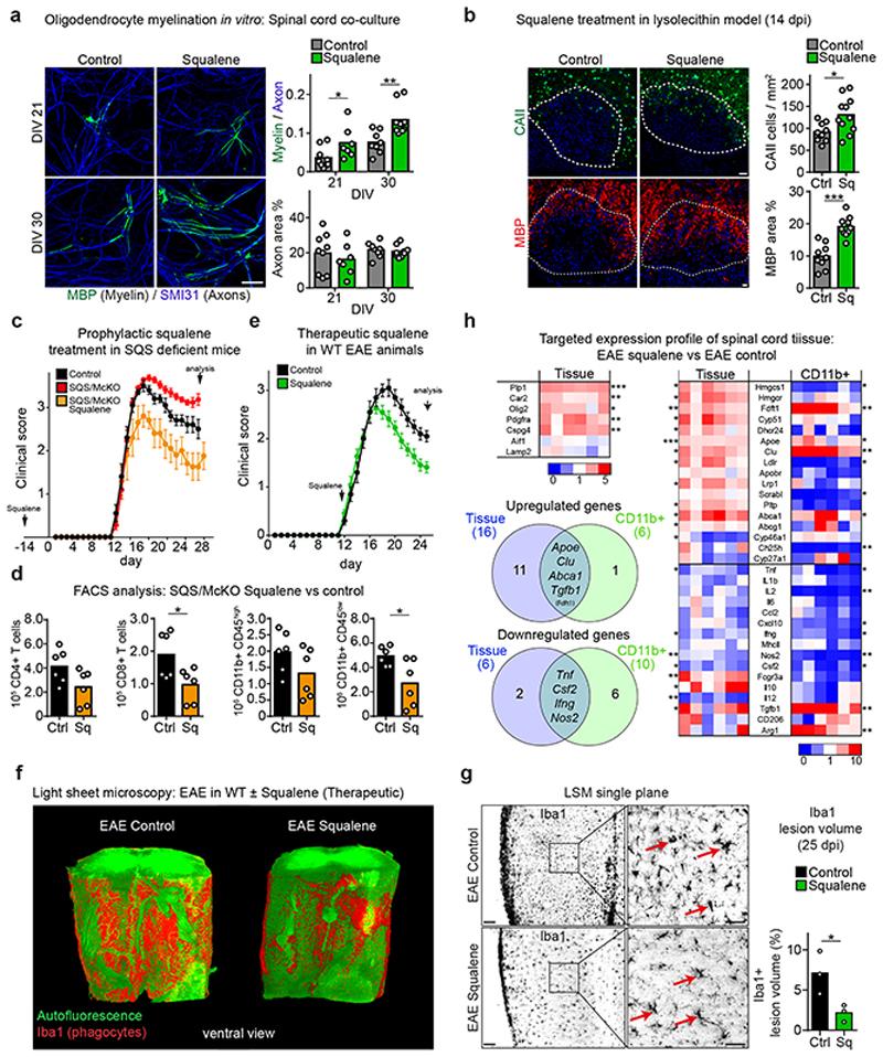 https://cdn.ncbi.nlm.nih.gov/pmc/blobs/7831/7116742/549a58388301/EMS114908-f006.jpg