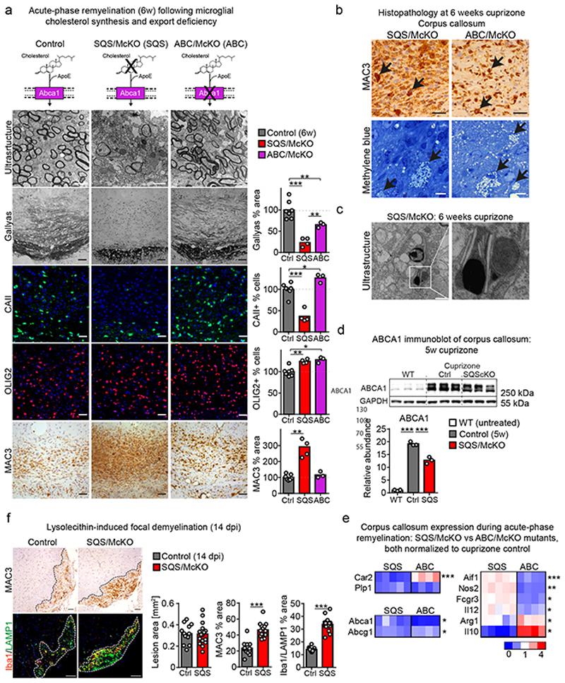 https://cdn.ncbi.nlm.nih.gov/pmc/blobs/7831/7116742/625692326ae9/EMS114908-f002.jpg