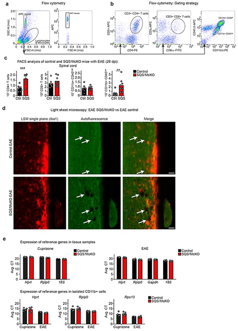 https://cdn.ncbi.nlm.nih.gov/pmc/blobs/7831/7116742/77295adbbf98/EMS114908-f012.jpg