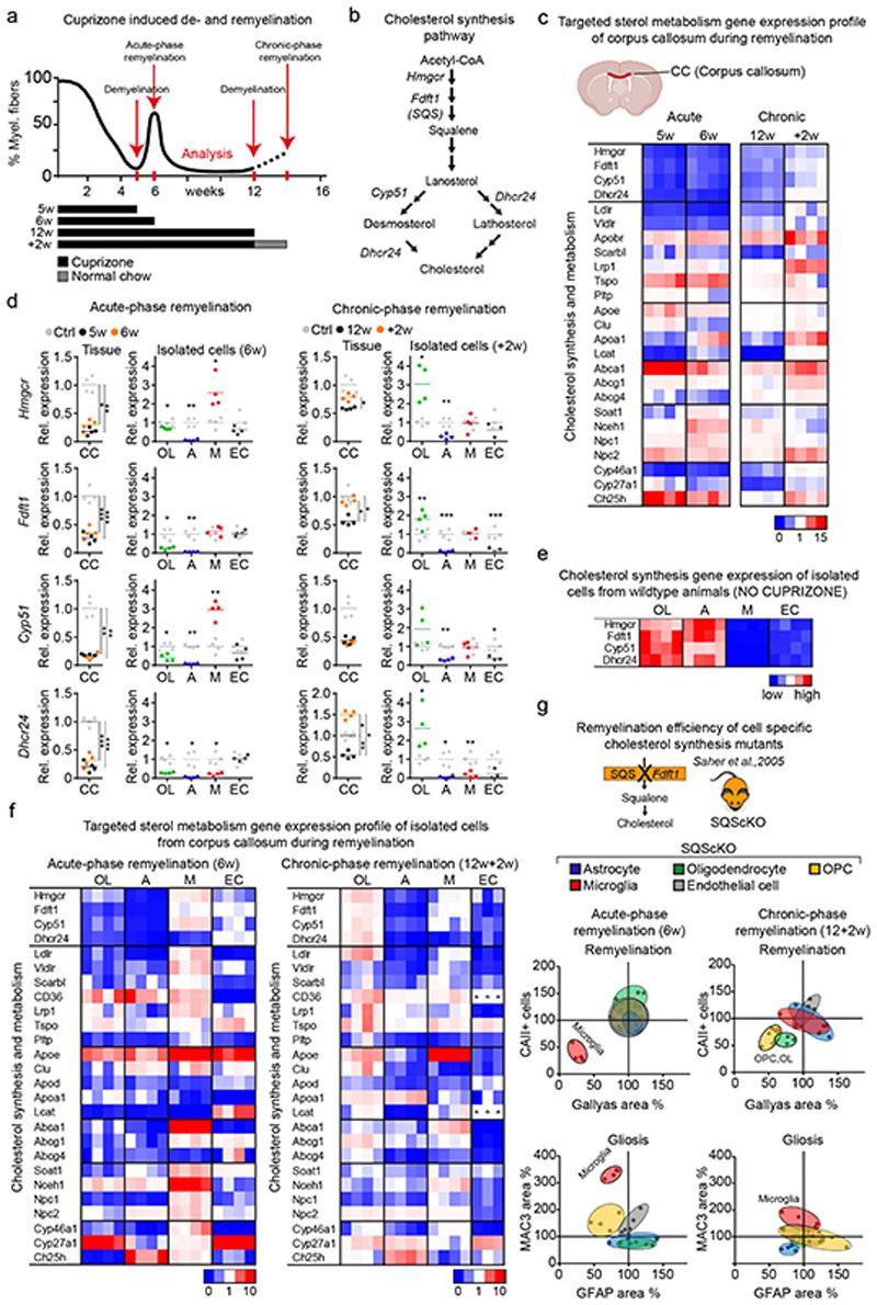 https://cdn.ncbi.nlm.nih.gov/pmc/blobs/7831/7116742/86d8c032ca82/EMS114908-f001.jpg
