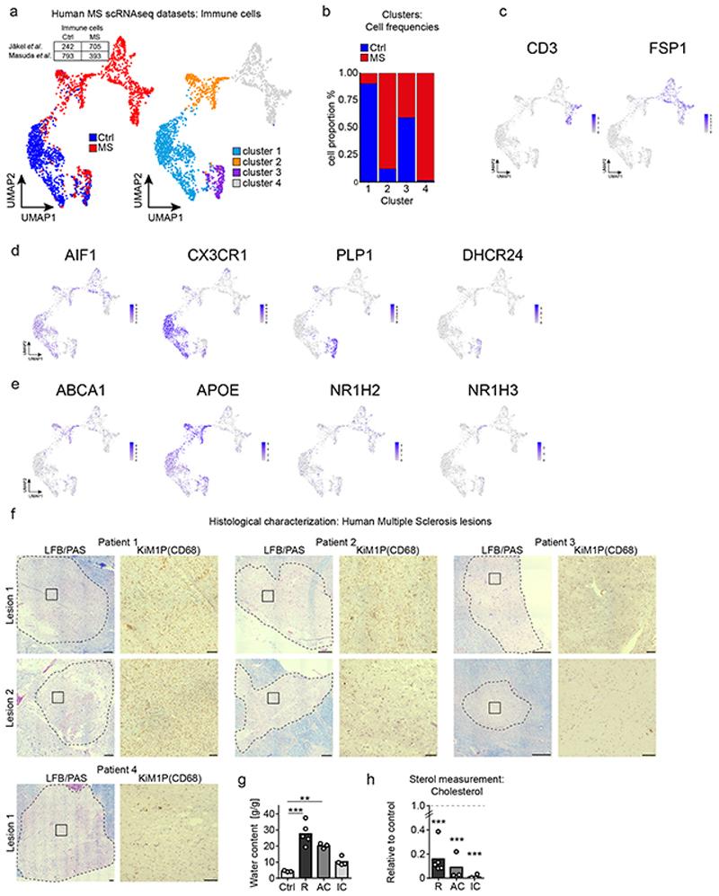 https://cdn.ncbi.nlm.nih.gov/pmc/blobs/7831/7116742/a355adc87a43/EMS114908-f014.jpg