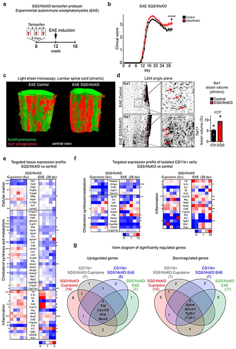 https://cdn.ncbi.nlm.nih.gov/pmc/blobs/7831/7116742/b32ec57c1b50/EMS114908-f003.jpg