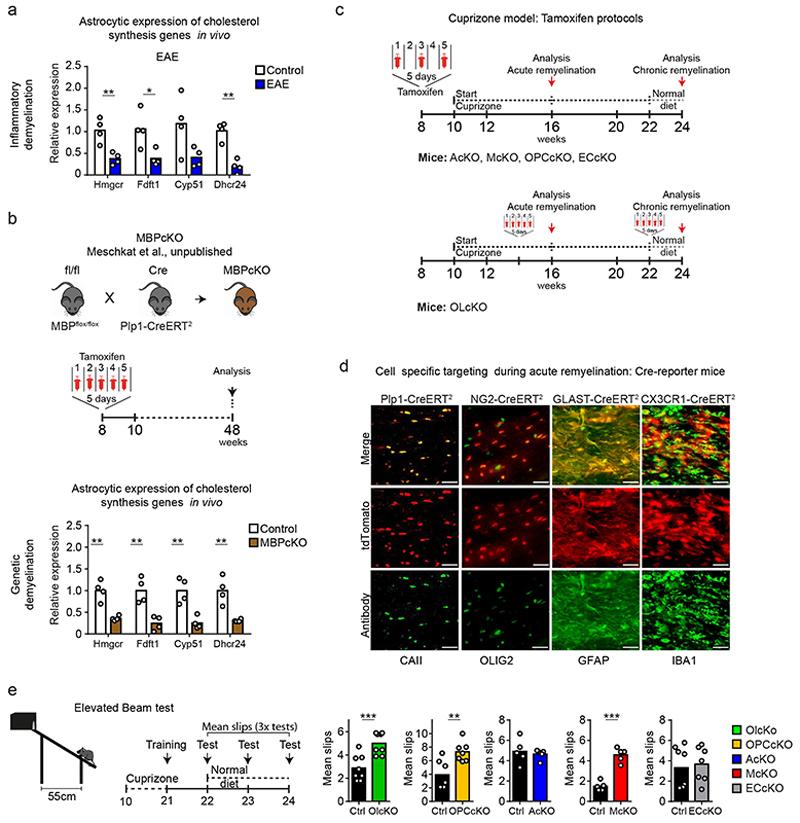 https://cdn.ncbi.nlm.nih.gov/pmc/blobs/7831/7116742/bee3fa89d5c7/EMS114908-f010.jpg