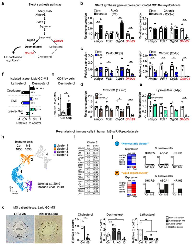 https://cdn.ncbi.nlm.nih.gov/pmc/blobs/7831/7116742/fa7b0cbfdc84/EMS114908-f004.jpg