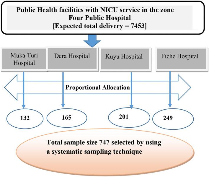 https://cdn.ncbi.nlm.nih.gov/pmc/blobs/7835/9676963/91644d670be7/fpubh-10-979636-g0002.jpg