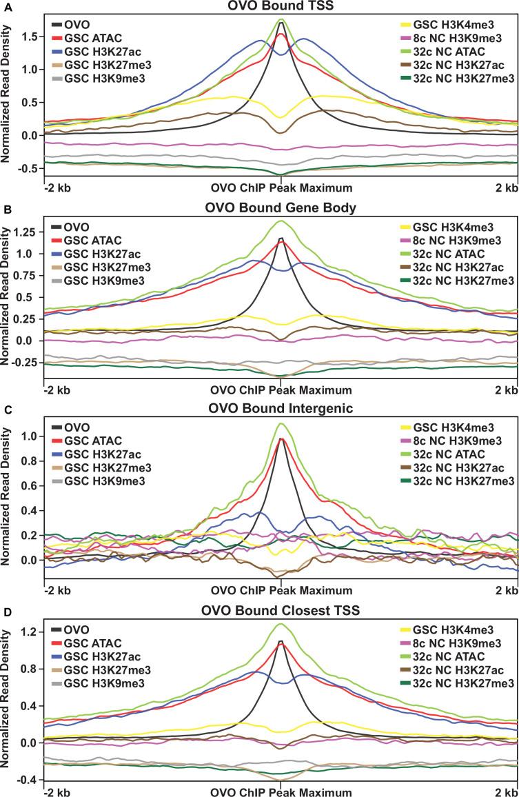 https://cdn.ncbi.nlm.nih.gov/pmc/blobs/7836/11410370/bd110219c9bb/elife-94631-fig2-figsupp1.jpg