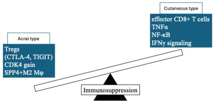 https://cdn.ncbi.nlm.nih.gov/pmc/blobs/7836/12248896/0c17b3bd22f6/cancers-17-02265-g001.jpg