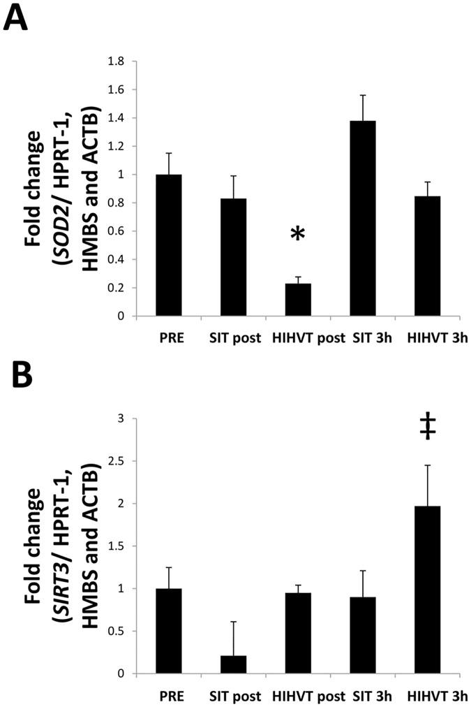 https://cdn.ncbi.nlm.nih.gov/pmc/blobs/7838/5626429/a0bb2231b42e/pone.0185494.g004.jpg