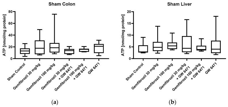https://cdn.ncbi.nlm.nih.gov/pmc/blobs/783a/10778839/3da38394d57d/ijms-25-00262-g004.jpg