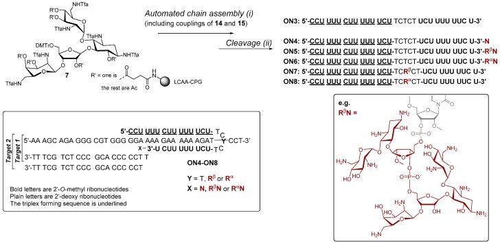 https://cdn.ncbi.nlm.nih.gov/pmc/blobs/783b/6154110/079c2a9633ce/molecules-22-00760-sch002.jpg