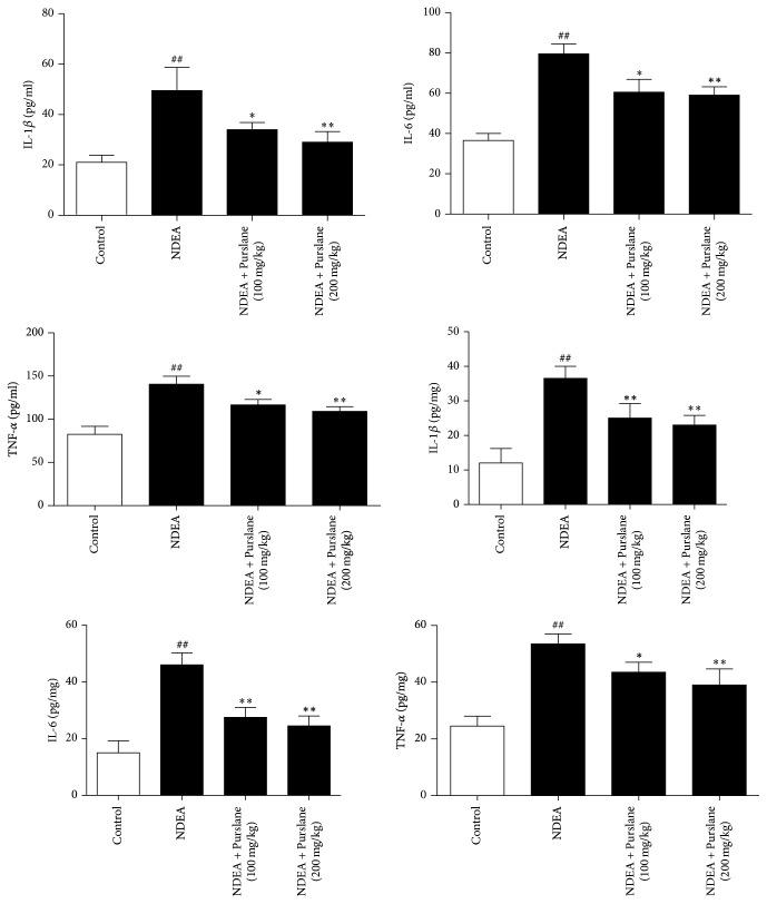 https://cdn.ncbi.nlm.nih.gov/pmc/blobs/783d/5474246/d71a7f85f68b/ECAM2017-8231358.002.jpg