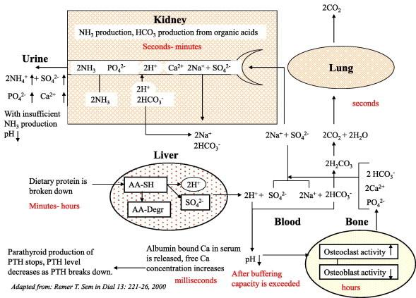 https://cdn.ncbi.nlm.nih.gov/pmc/blobs/783e/4442949/727c6f451f9e/gr2.jpg