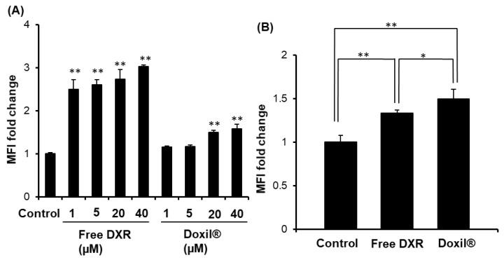 https://cdn.ncbi.nlm.nih.gov/pmc/blobs/783f/7589973/689f7fd37b0f/pharmaceutics-12-00990-g004.jpg
