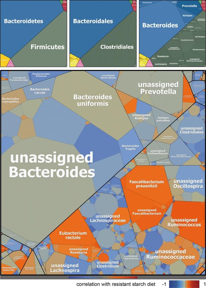 https://cdn.ncbi.nlm.nih.gov/pmc/blobs/7841/5646248/88b54deca3bd/mbo0011735300001.jpg