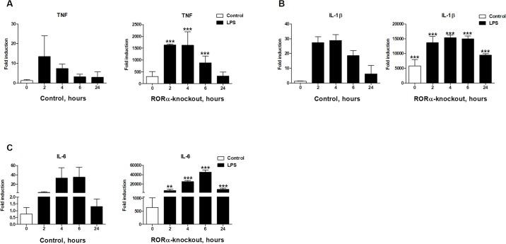 https://cdn.ncbi.nlm.nih.gov/pmc/blobs/7841/6261595/4e99a15cee05/pone.0207374.g001.jpg