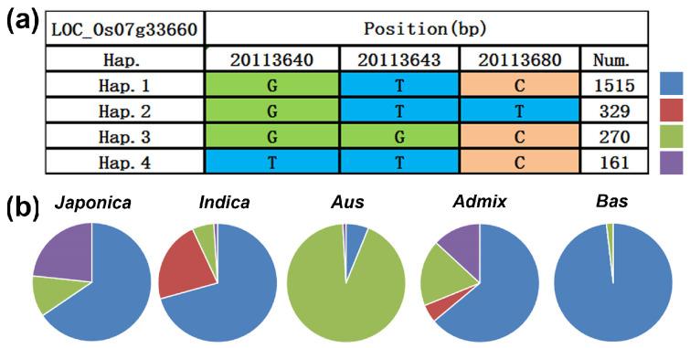 https://cdn.ncbi.nlm.nih.gov/pmc/blobs/7843/11507589/235209fb2454/genes-15-01267-g010.jpg