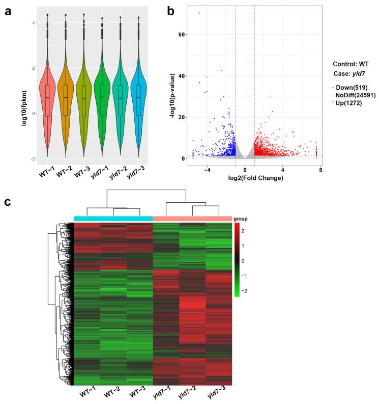 https://cdn.ncbi.nlm.nih.gov/pmc/blobs/7843/11507589/6a42e05f1e4e/genes-15-01267-g009.jpg