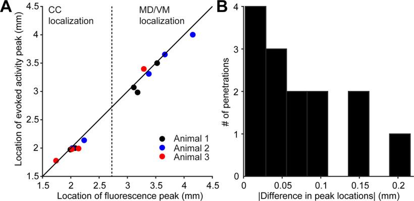https://cdn.ncbi.nlm.nih.gov/pmc/blobs/7844/8597948/1cdcebf4a7bc/ENEURO.0241-21.2021_f012.jpg