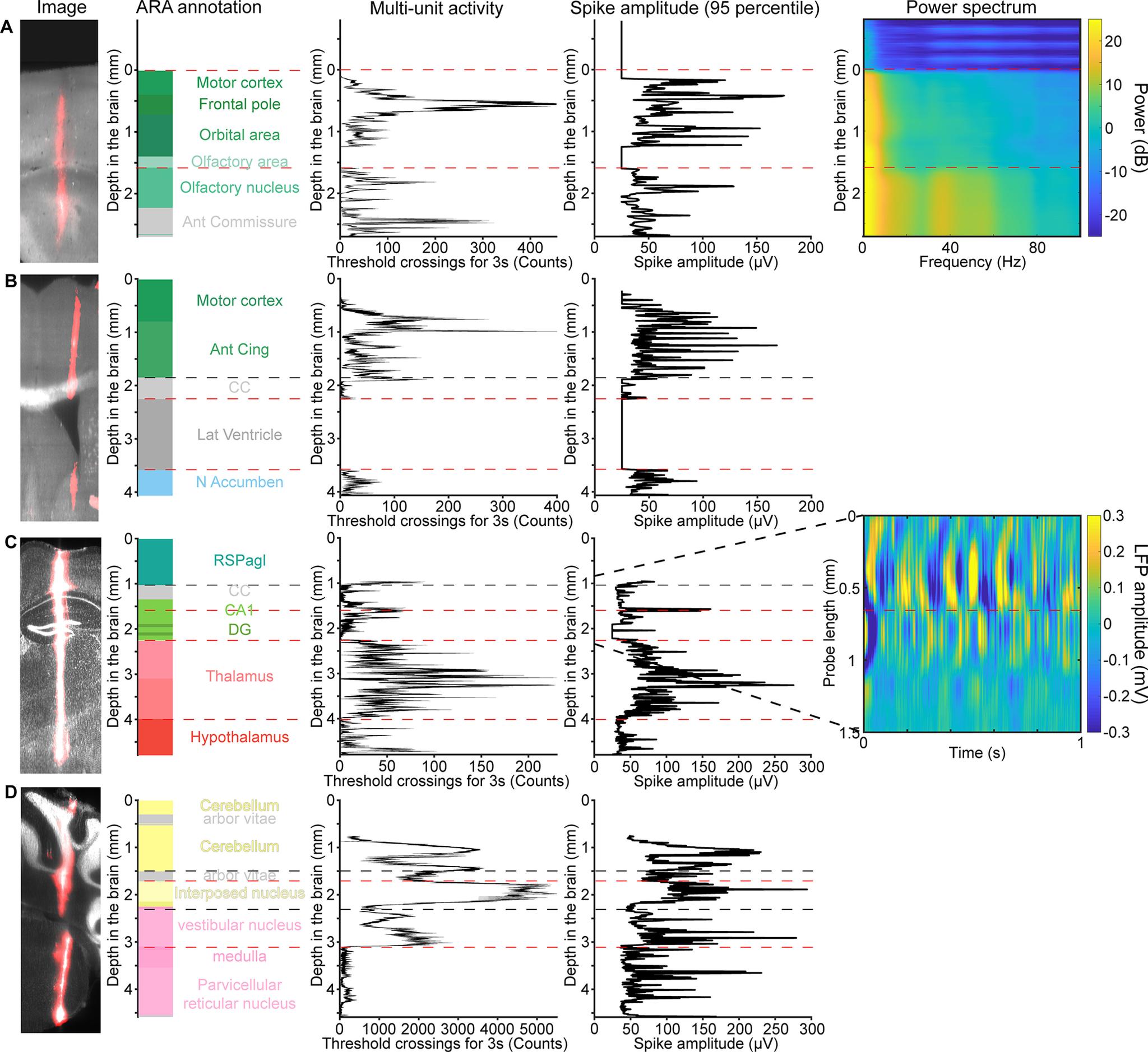 https://cdn.ncbi.nlm.nih.gov/pmc/blobs/7844/8597948/2d3db02dc9b6/ENEURO.0241-21.2021_f007.jpg
