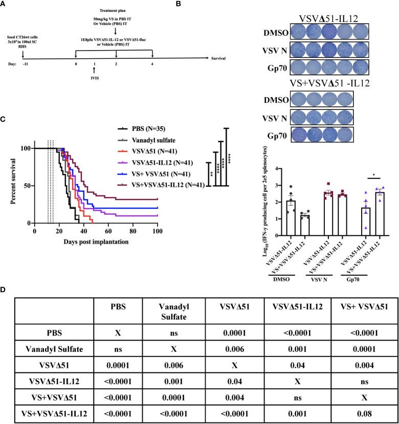 https://cdn.ncbi.nlm.nih.gov/pmc/blobs/7844/9749062/23909fc71767/fimmu-13-1032356-g005.jpg