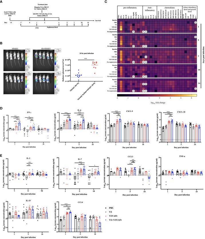 https://cdn.ncbi.nlm.nih.gov/pmc/blobs/7844/9749062/88b397ea4899/fimmu-13-1032356-g001.jpg