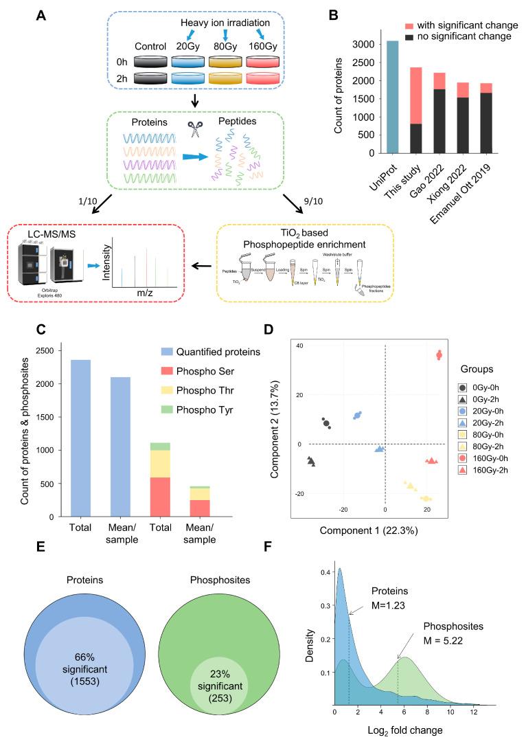 https://cdn.ncbi.nlm.nih.gov/pmc/blobs/7845/10572868/2e38cc241953/ijms-24-14817-g001.jpg