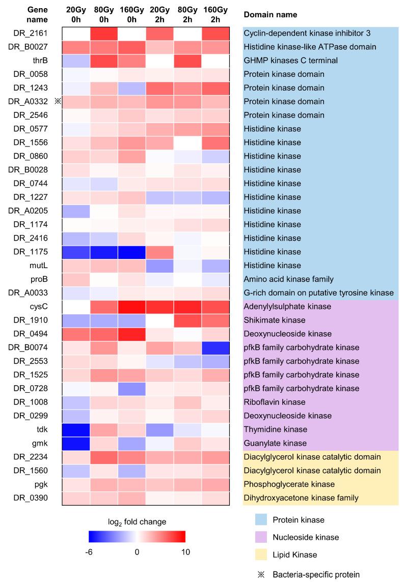 https://cdn.ncbi.nlm.nih.gov/pmc/blobs/7845/10572868/d313c66adcf4/ijms-24-14817-g006.jpg