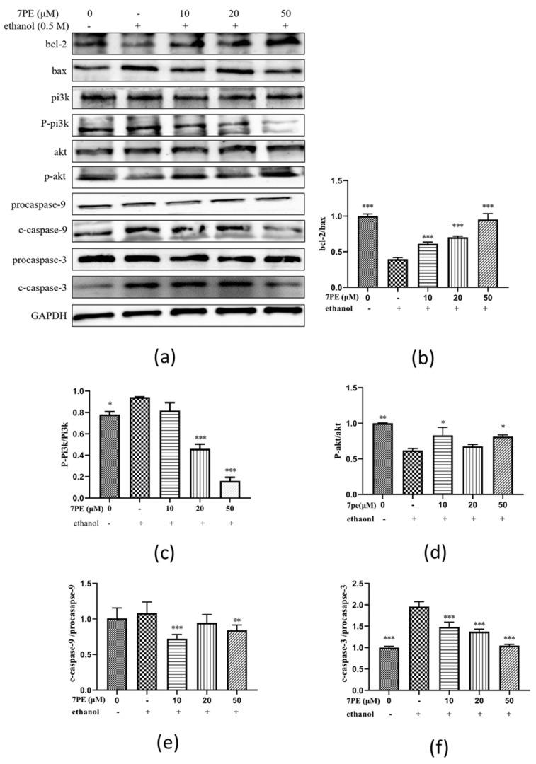 https://cdn.ncbi.nlm.nih.gov/pmc/blobs/7845/8002839/1090a66e0633/marinedrugs-19-00158-g005.jpg