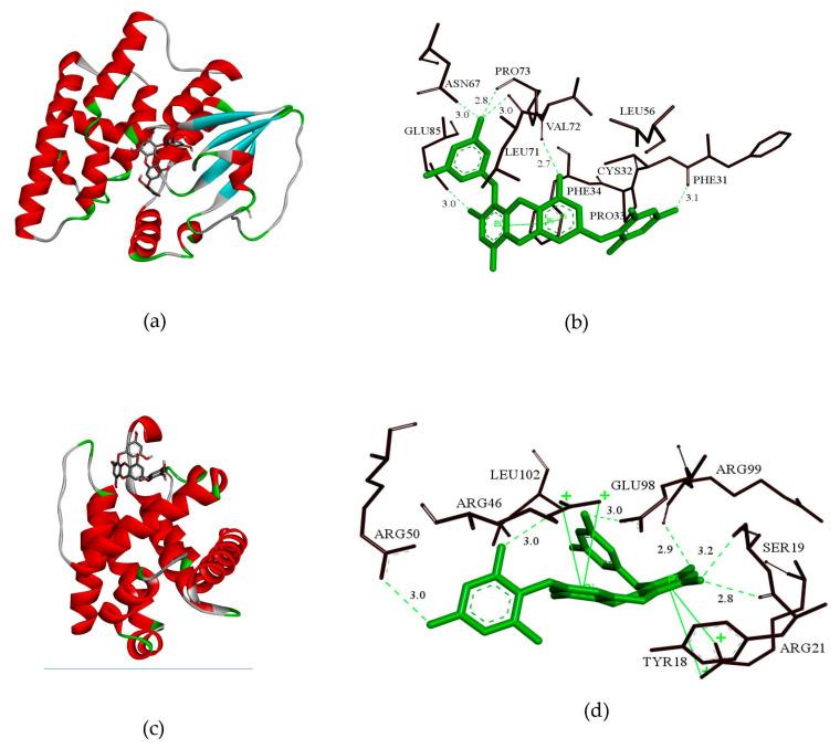 https://cdn.ncbi.nlm.nih.gov/pmc/blobs/7845/8002839/67dd2d70b61b/marinedrugs-19-00158-g008.jpg