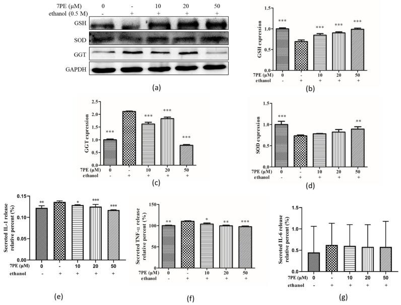 https://cdn.ncbi.nlm.nih.gov/pmc/blobs/7845/8002839/fc3312b337a7/marinedrugs-19-00158-g004.jpg