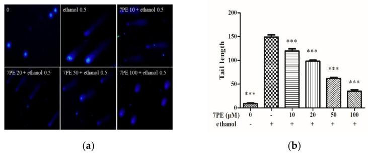 https://cdn.ncbi.nlm.nih.gov/pmc/blobs/7845/8002839/ffa2d3b73ee5/marinedrugs-19-00158-g003.jpg