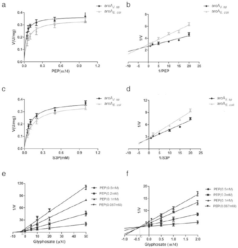 https://cdn.ncbi.nlm.nih.gov/pmc/blobs/7846/4709569/a6a4a0da5d69/srep19104-f3.jpg